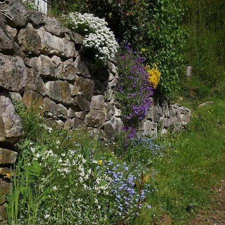Chez Clochette * Plainfaing