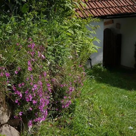 Chez Clochette Hébergement de vacances Plainfaing